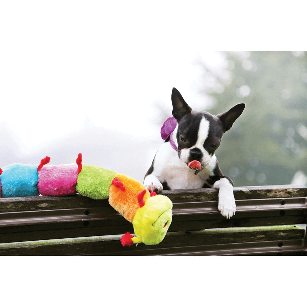 Caterpillar With Squeaker Soft Dog Toy