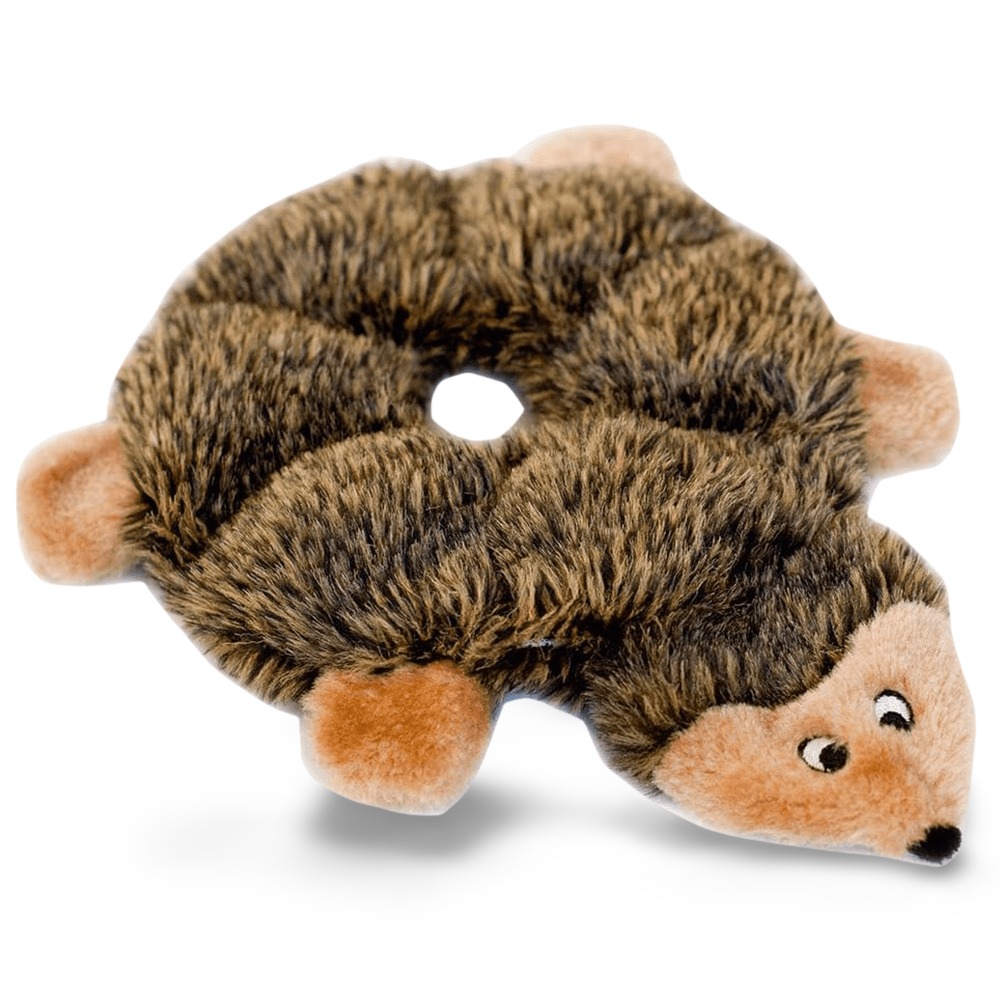 Loopy Hedgehog Squeaky Dog Toy