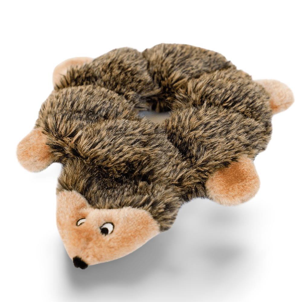 Loopy Hedgehog Squeaky Dog Toy