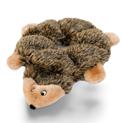 Loopy Hedgehog Squeaky Dog Toy