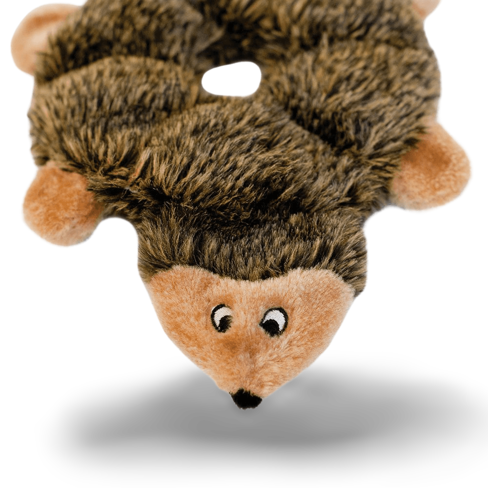 Loopy Hedgehog Squeaky Dog Toy