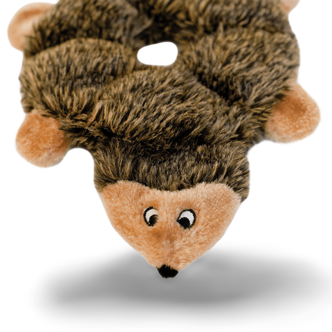 Loopy Hedgehog Squeaky Dog Toy