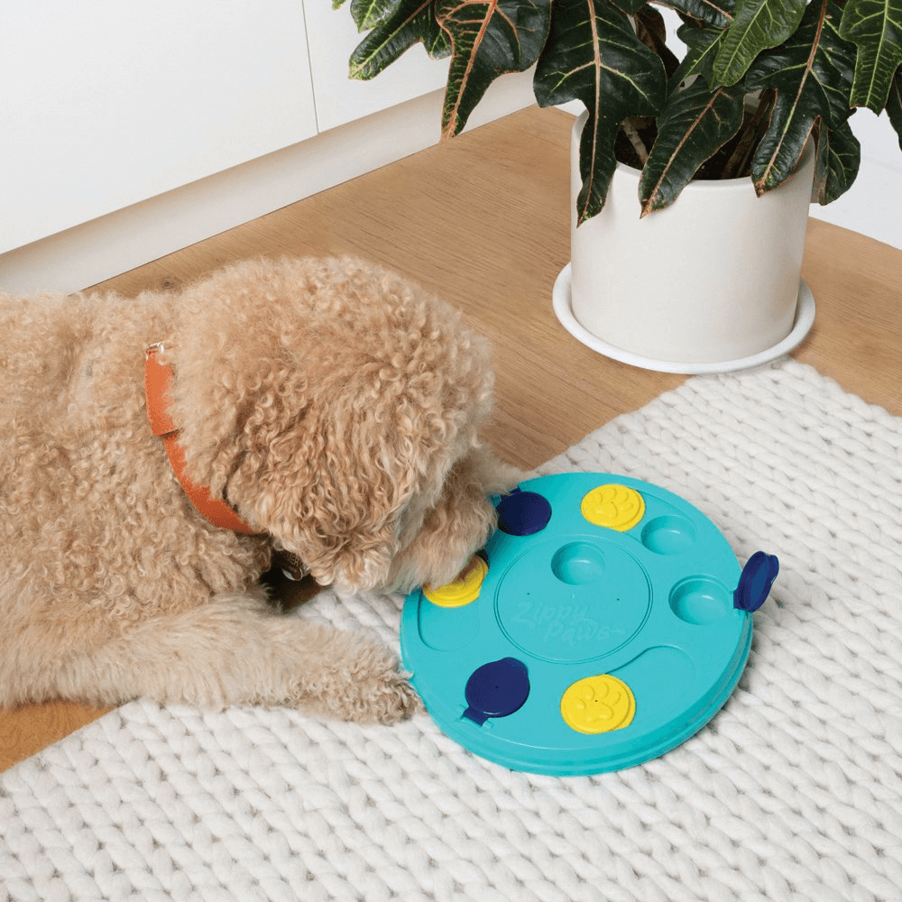 Smartypaws Puzzler Feeder