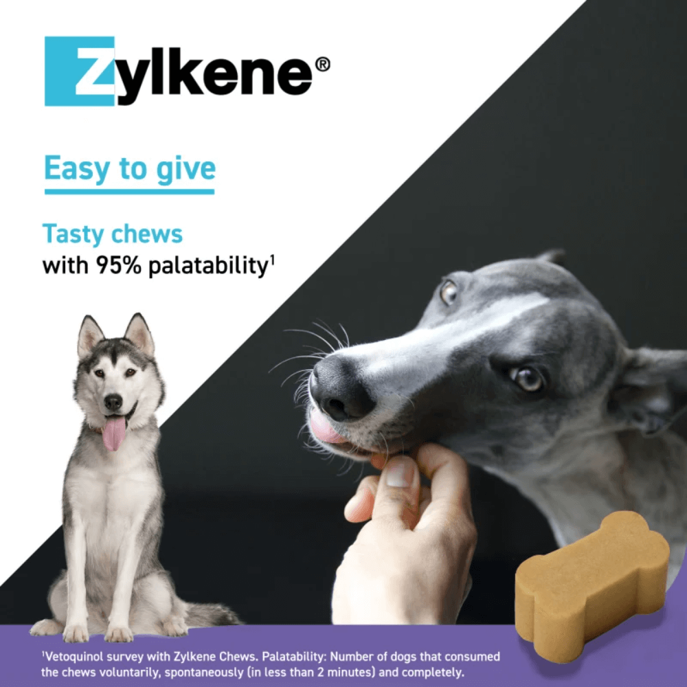 Calming Chews For Large Dogs